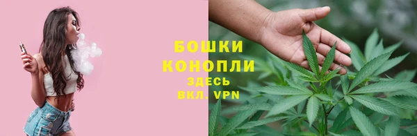 ALPHA PVP Инсар