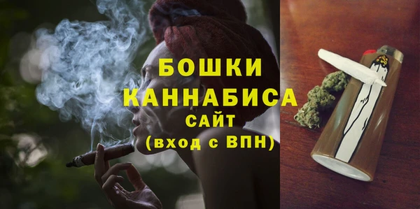 ALPHA PVP Инсар