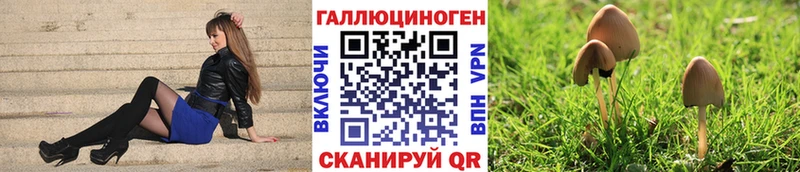 Псилоцибиновые грибы прущие грибы Калач